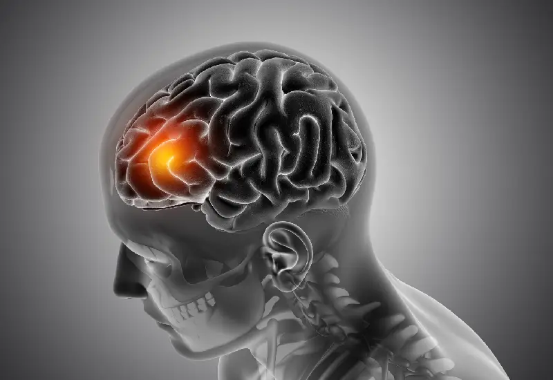 Noronberk Health Tourism Agency