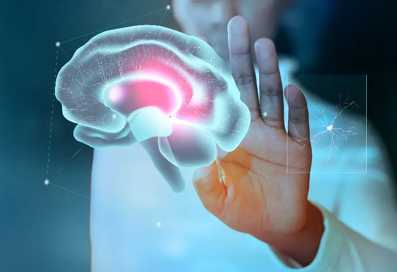 Noronberk Health Tourism Agency