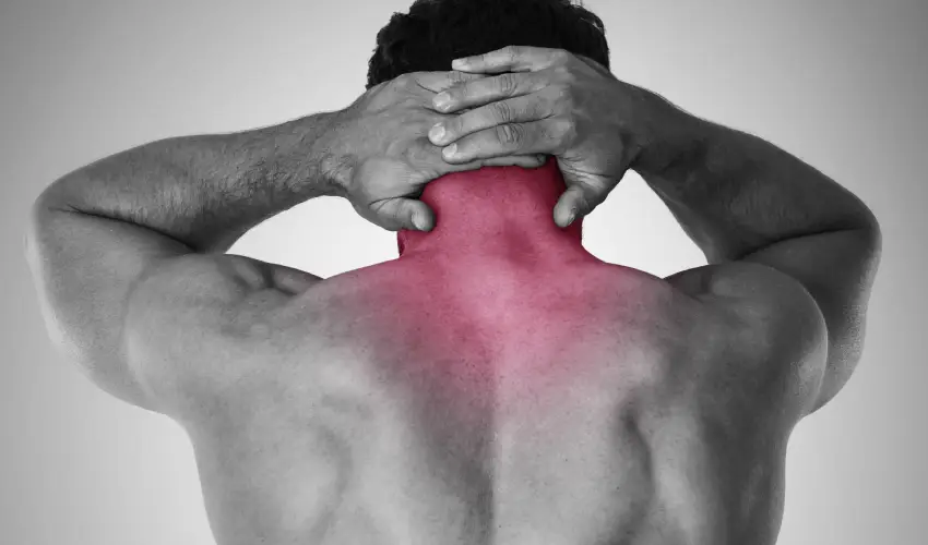 Noronberk Health Tourism Agency